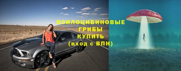первитин Козловка