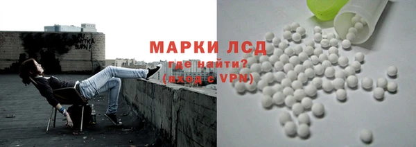 PSILOCYBIN Козельск