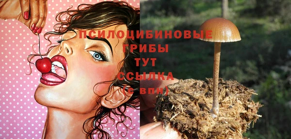 PSILOCYBIN Козельск