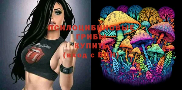 PSILOCYBIN Козельск