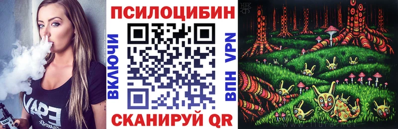 Галлюциногенные грибы Psilocybe  Артём 